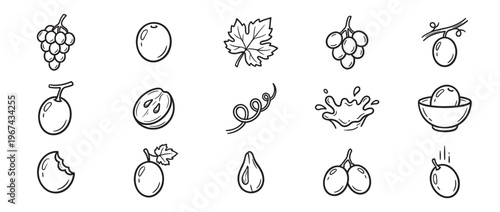 Various hand-drawn grape and berry elements are depicted in a clean, black and white line art style, showcasing different forms and stages