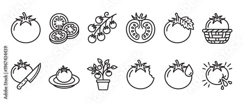 Collection of black outline tomato icons showing whole, sliced, bitten, and growing tomatoes with various details