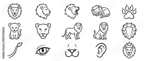 Collection of black outline lion illustrations, featuring various poses, faces, and details of the majestic animal