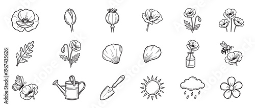 Collection of hand-drawn poppy flower elements, including buds, petals, leaves, and gardening tools, in a clean line art style