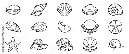 Various black outline sea shells, starfish, and marine life icons are neatly arranged on a clean white surface
