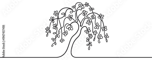 Charming, stylized black line art drawing of a weeping willow tree with delicate leaves, presented on a clean white field