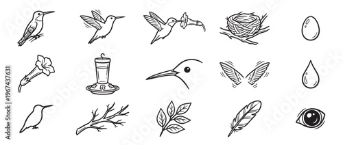 Collection of black and white line art illustrations depicting various hummingbird-related elements and nature objects