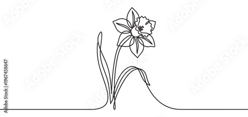 Beautiful single continuous line art drawing of a daffodil flower with delicate petals and a long stem, rendered in a minimalist style