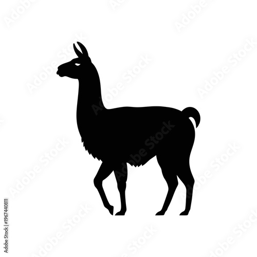 Silhouette of a majestic llama walking gracefully with a proud posture.
