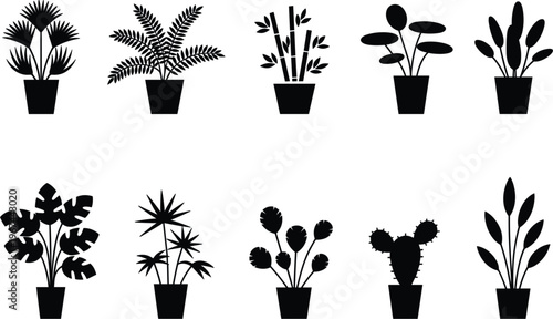 Minimal black silhouette potted plants including cactus, palm, monstera and foliage for home decor design