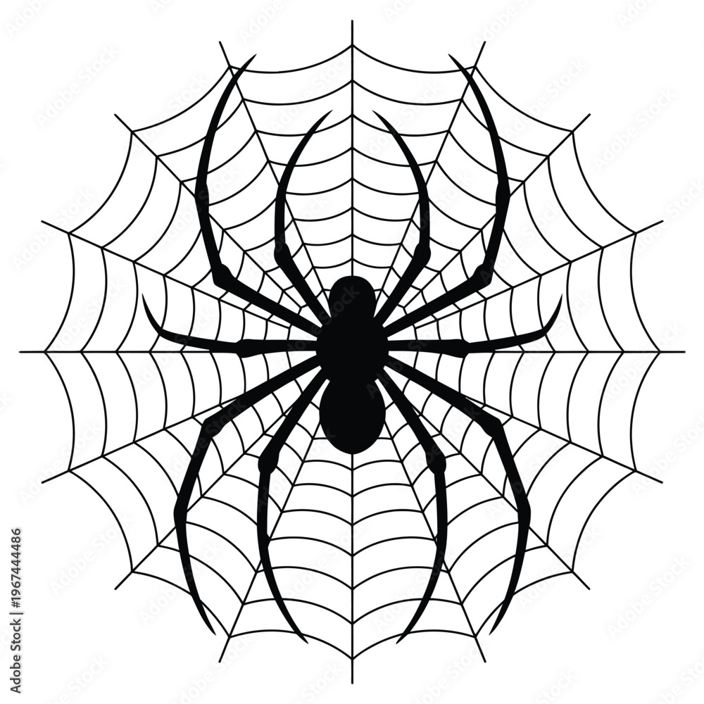 Obraz premium A detailed spiderweb with a menacing black spider at its center a striking silhouette