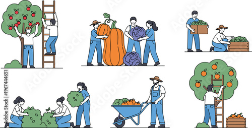 Farm Harvest Activity Vector Set with People Picking Fruits, Carrying Vegetables, Gardening, and Agricultural Work Illustrations
