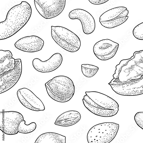 Seamless pattern with whole and half nut seed hazelnut, peanut, almond, cashew, pistachio, walnut. Vintage monochrome vector engraving illustration isolated on white.