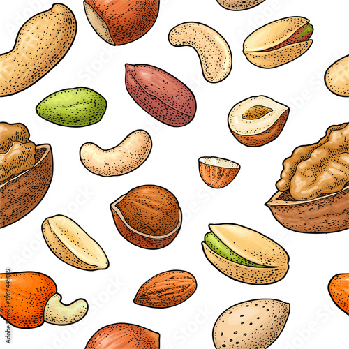 Seamless pattern with whole and half nut seed hazelnut, peanut, almond, cashew, pistachio, walnut. Vintage color vector engraving illustration isolated on white.