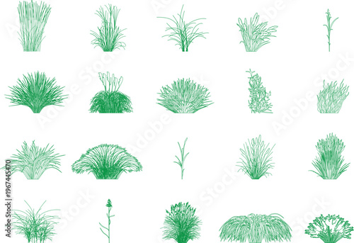 various ornamental grasses and plants for landscape design, architectural elevation, shrub, front view, editable stroke, vector