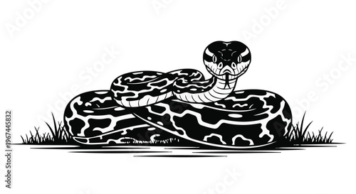 Black and white illustration of a coiled snake in the grass