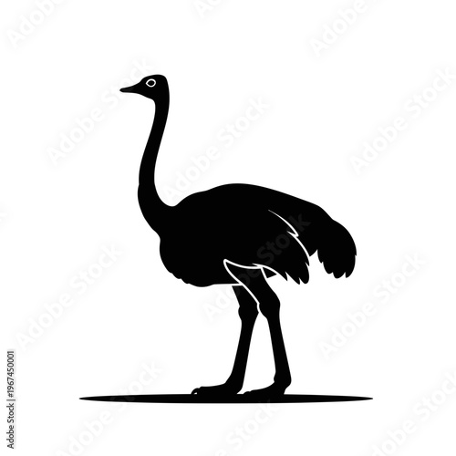 Silhouette of a tall ostrich standing proudly against a white backdrop.