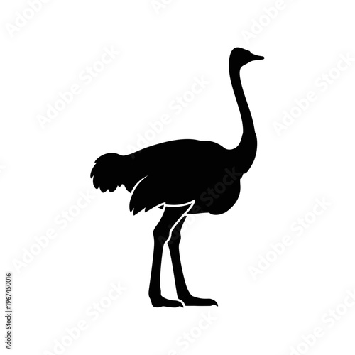 Silhouette of a tall ostrich standing with long legs and neck.