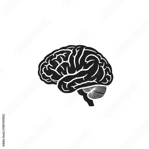 Human brain illustration showcasing intricate neural networks and cognitive functions.