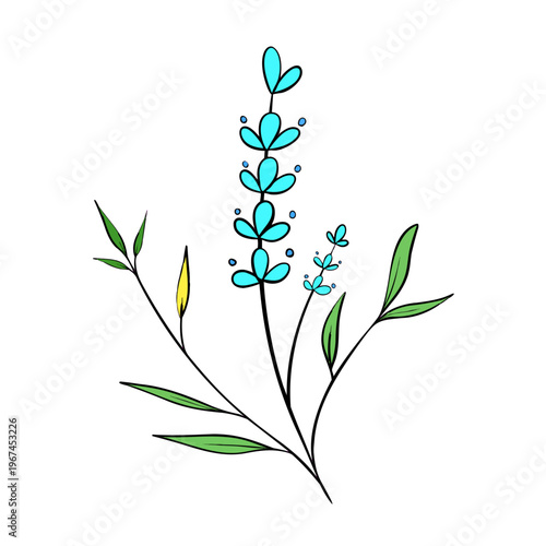 beauty flowers vector