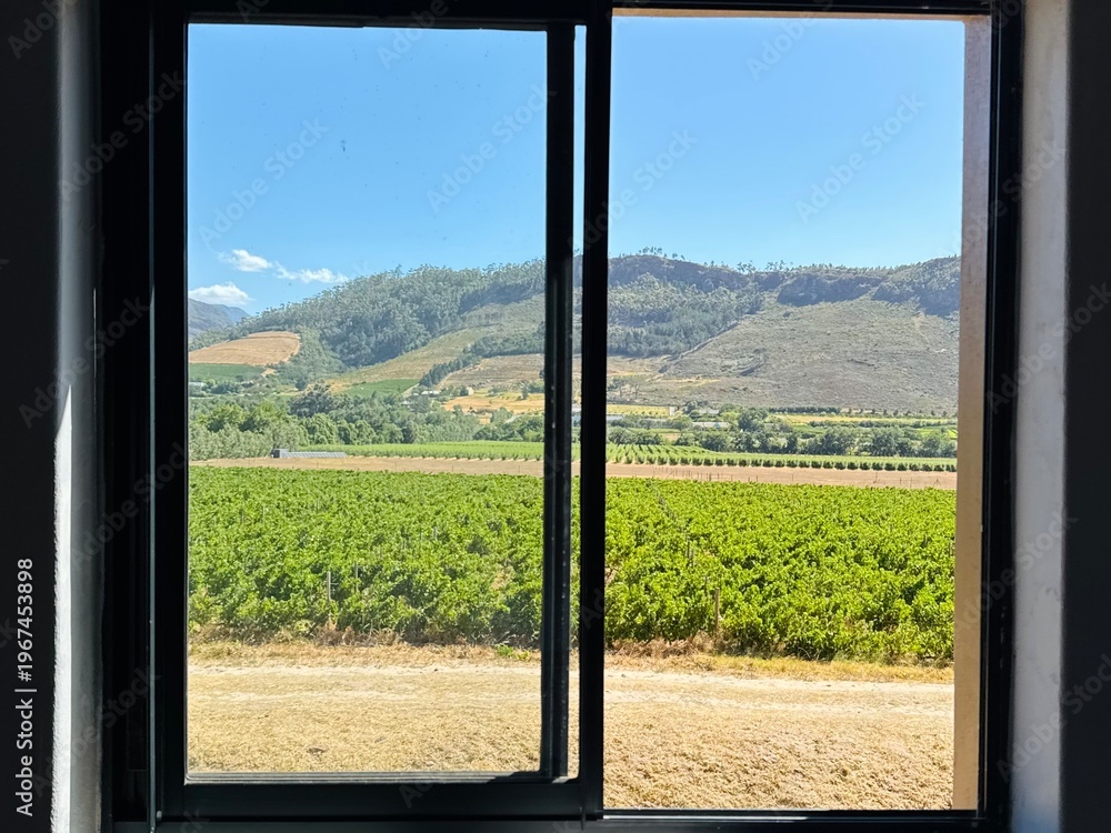 Fototapeta premium View from the window of the mountains and vineyards