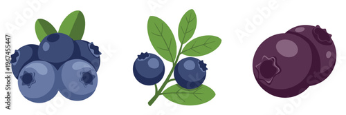 Blueberries shown clustered on branch and as loose berries
