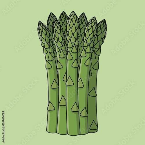Fresh green asparagus spears a healthy and nutritious vegetable ready to be cooked.