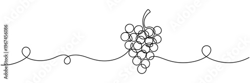 Cluster of grapes hanging on continuous line illustration, none editable strokes