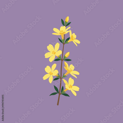 Vibrant yellow jasmine flowers blooming on a slender stem against a soft background.