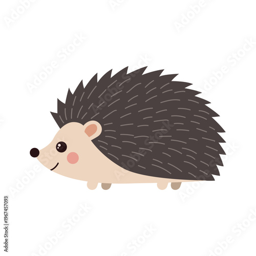 small cute vector hedgehog character walking on white background isolated illustration