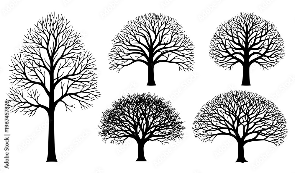 Obraz premium Leafless Tree Silhouette Vector Set – Winter Forest Black Tree Icons Collection
