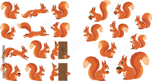 Cute Squirrel Illustrations Set with Various Poses, Trees, and Acorns for Nature and Wildlife Designs