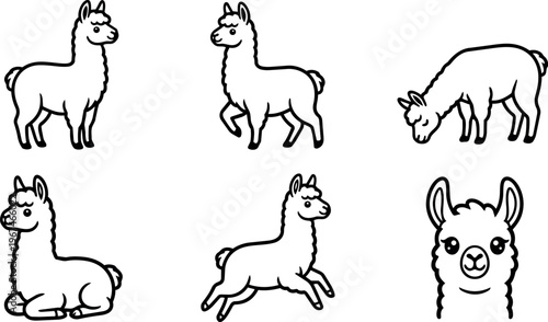 Cute llamas in various poses including sitting standing and jumping