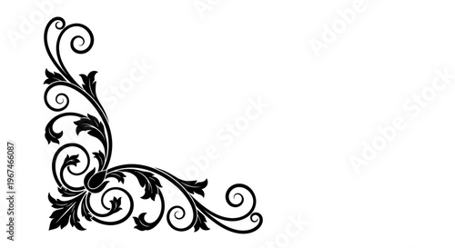 Intricate black ornamental corner design with elegant scrollwork and leaves, isolated white background