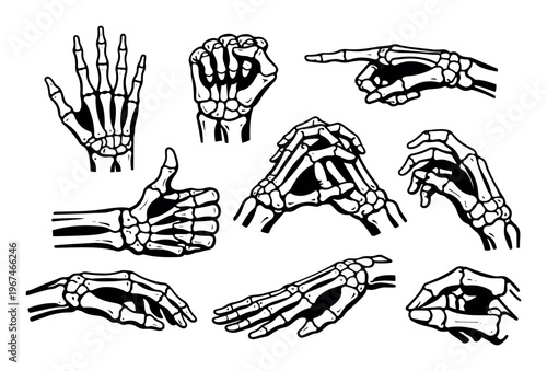 Skeleton hands in different gestures and poses, bone hand anatomy for spooky halloween design or medical illustration