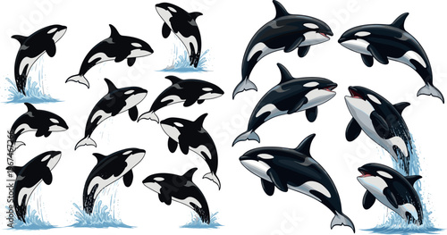 Stylized vector illustration of orca whales leaping and splashing with cartoon and realistic details