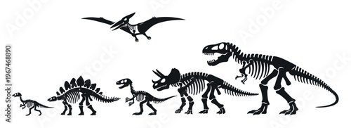 Various dinosaur skeletons from different species representing prehistoric life and paleontology, including a flying reptile