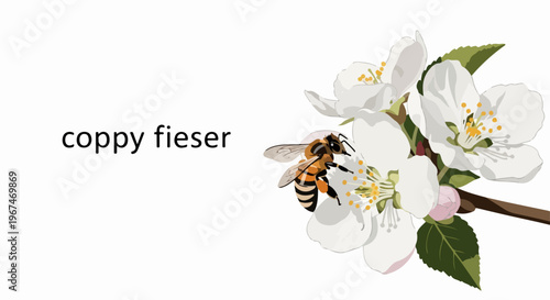 Honey bee flower illustration shows Apis mellifera pollinating white blossoms. Honey bee flower scene highlights ecological role of pollinators for biodiversity.