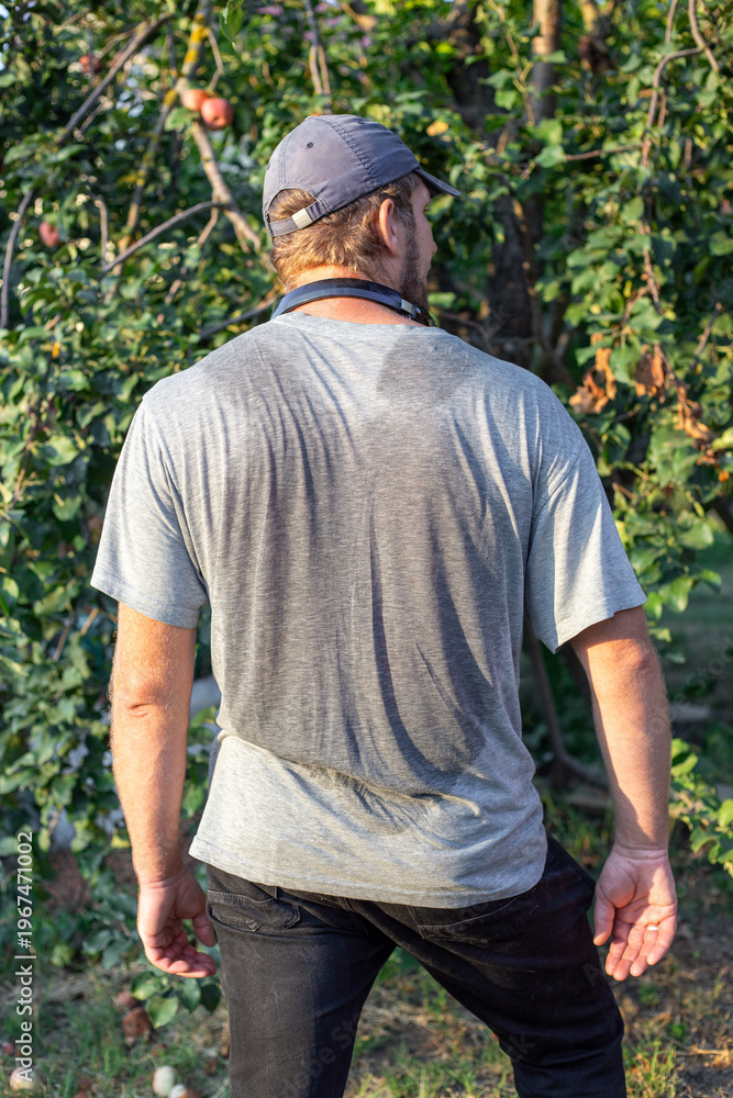 Fototapeta premium Man's back in a grey t-shirt and jeans, wearing a cap and standing outdoors. Gardening, summer day, casual attire.