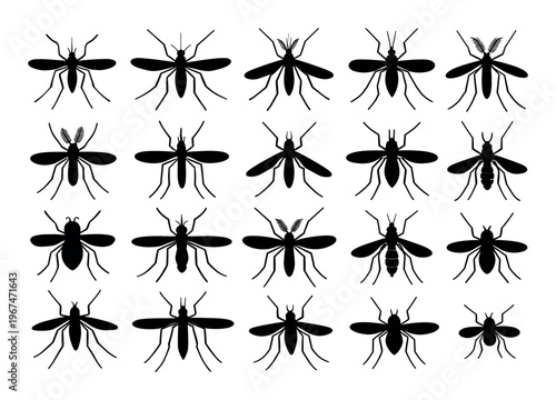 Mosquito insect collection with different bug silhouettes. Representing disease vectors like malaria, dengue, and zika virus