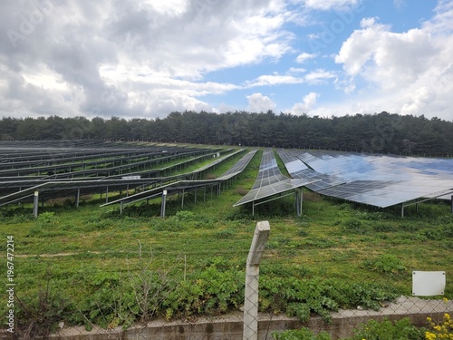 Foto Solar panel power plant farm in a green field for renewable energy concept