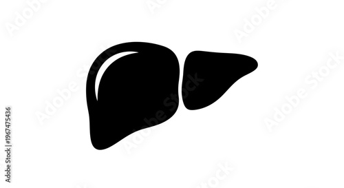 Human Liver Organ Silhouette on White Background.