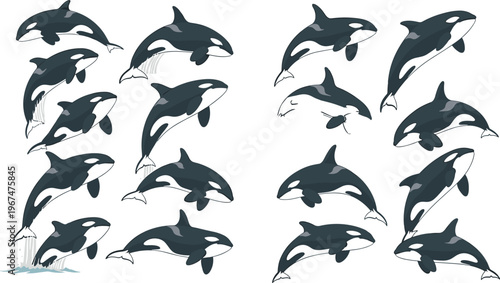Stylized vector illustration of orca whales in dynamic swimming and jumping ocean poses