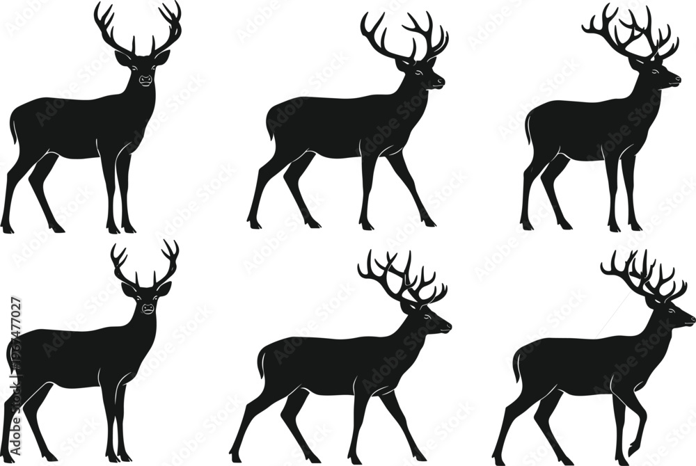 Fototapeta premium Collection of black deer silhouettes with majestic antlers featuring various standing and walking poses isolated on white background for nature and wildlife design