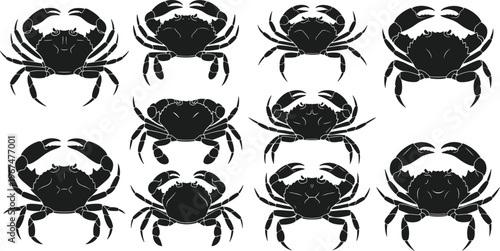 Collection of black crab silhouettes featuring various shellfish species and crustacean shapes isolated on white background for seafood and marine life design projects