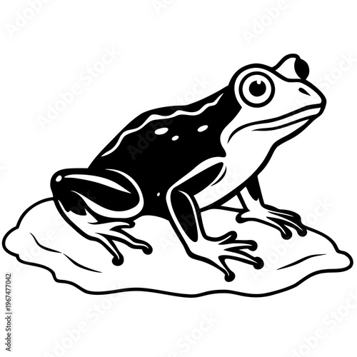 Cute green frog illustration isolated on a white background with detailed amphibian features