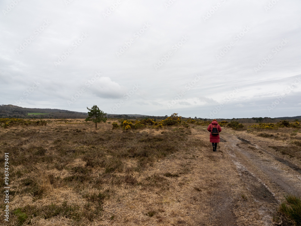 Obraz premium View of a woman in a red coat with a black backpack walking away from the camera