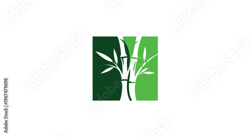 Green bamboo stalks with leaves in a square frame.