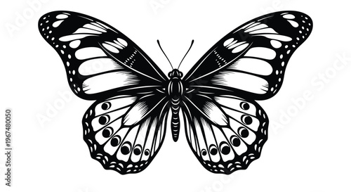 Detailed butterfly illustration showcases intricate wing patterns and delicate antennae.