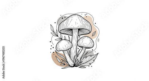 Hand drawn illustration of three mushrooms with leaves and abstract shapes.