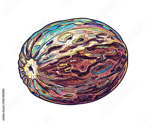 Vibrant, abstract illustration of a whole nutmeg seed with colorful cross-section detail