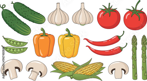 Tableau sur toile Vector Set of Fresh Vegetables Including Cucumbers, Garlic, Tomatoes, Peppers, M