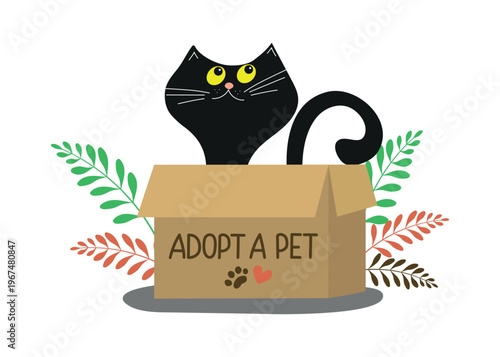 Cartoon cat in a box. Adopt a pet. Banner and text. Funny black cat. Adopt me. Animal shelter charity. Postcard, flyer, animal adoption campaign, animal protection poster design. White background.