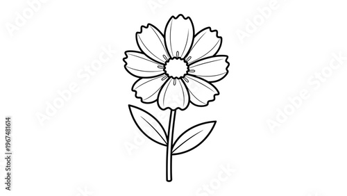 Black and white illustration of a single flower with detailed petals and stem